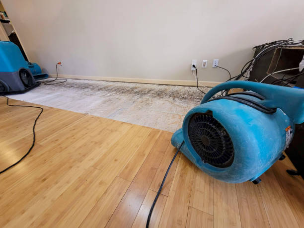 Professional Water Damage Repair technician working in Shakopee, MN